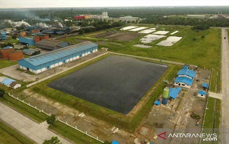 Pemerintah Optimalkan Listrik Alternatif dari Limbah Sawit