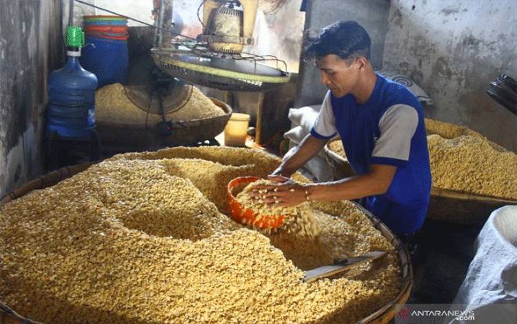 CIPS Nilai Pembatasan Impor Kedelai Berpengaruh Pada Konsumen