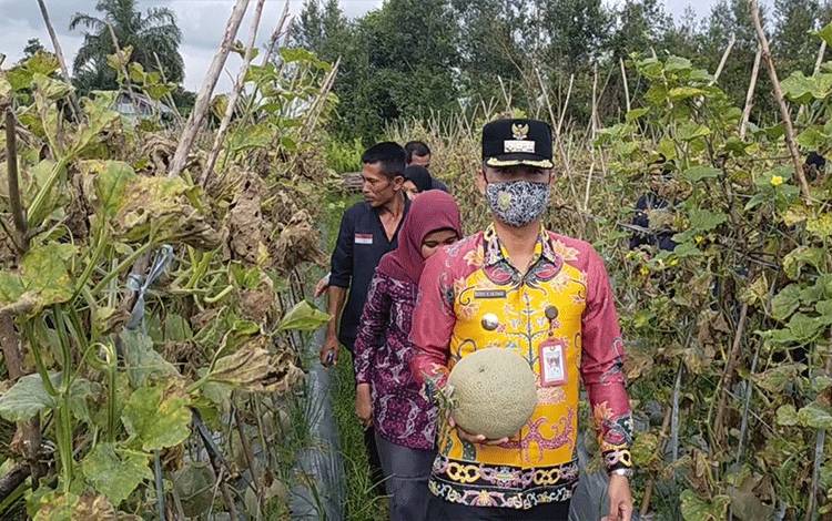 Camat Mentawa Baru Ketapang Harapkan Semakin Banyak Kaum Milenial Lirik Pertanian