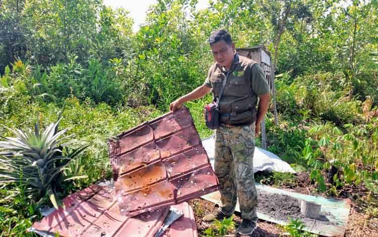 Beruang Madu Rusak Kandang Ternak Warga di Sampit