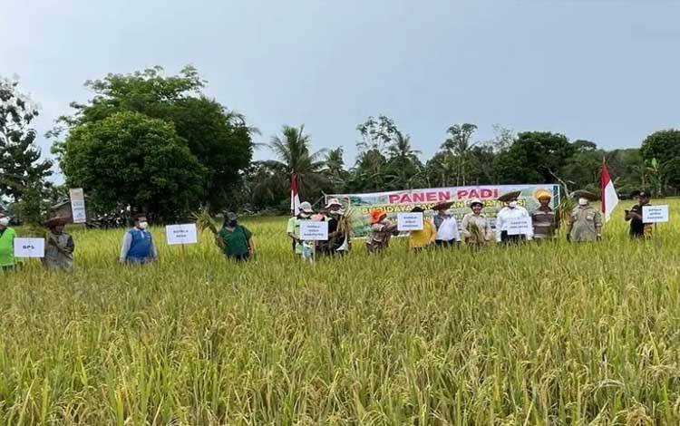 Pemprov Kalteng Panen Padi BTS di Barito Timur