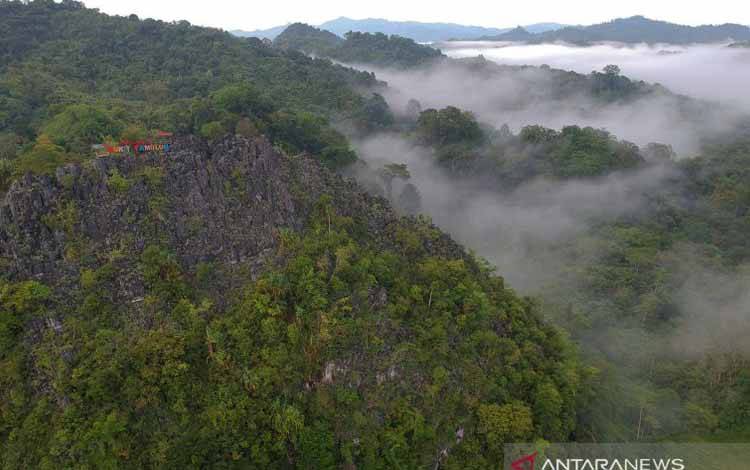 Bahlil Cabut 15 Izin Konsesi Kawasan Hutan