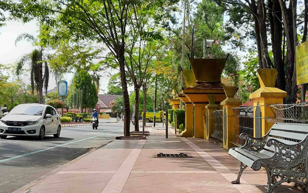 Masyarakat Diajak Jaga Pohon Peneduh di Sepanjang Jalan Pangkalan Bun