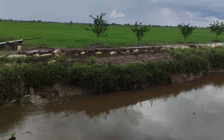 Dispenda Kalteng Catat Masih ada 68 Perusahaan Tunggak Pembayaran Pajak Air Permukaan
