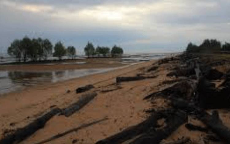 Katingan Kuala Kembangkan Obyek Wisata Kempeng di Pesisir Laut