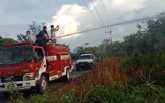 BPBD Murung Raya Ingatkan Warga Waspada Potensi Bencana Kebakaran