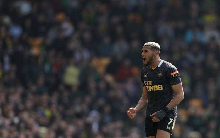 Legiun Brazil Antar Newcastle Telan Norwich 3-0