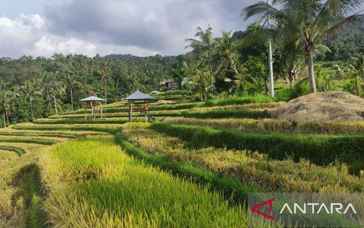 Mengintip Kesiapan Tiga Desa Wisata di Buleleng Sambut Delegasi G20