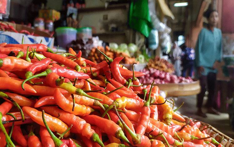 Harga Cabai Rawit Merah di Kobar Sempat Rp90.000, Kini Mulai Turun