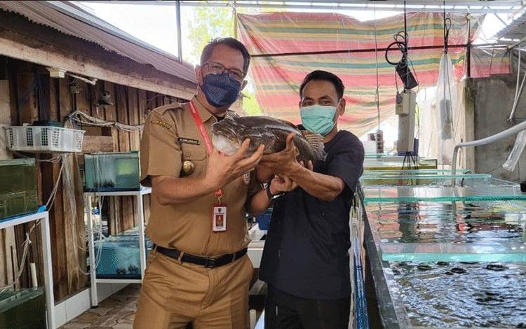 Dislutkan Bantu Sediakan Akses Permodalan Eksportir KP di Kalteng