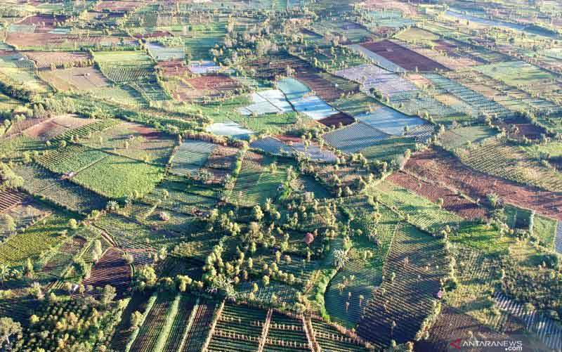 Indonesia FoLU Net Sink 2030 Dinilai Jadi Cara Tekan Laju Deforestasi