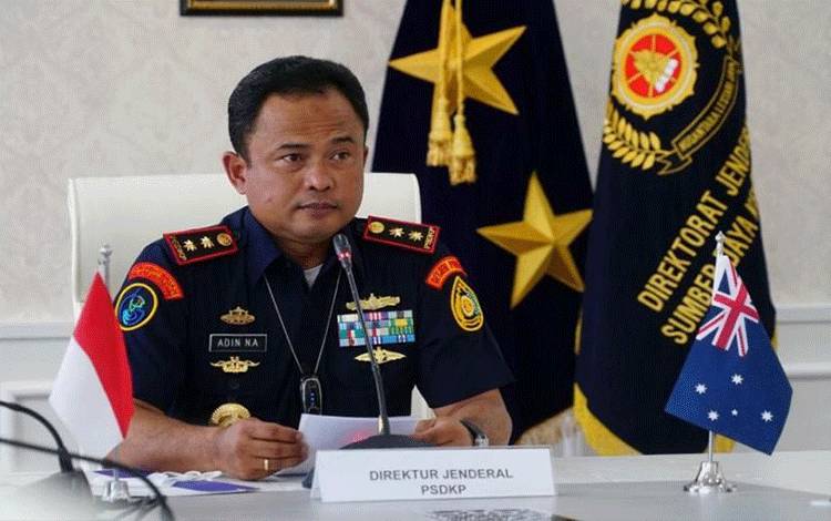 KKP Tindak Pelaku Perdagangan Sirip Hiu Ilegal di Sulawesi Tenggara