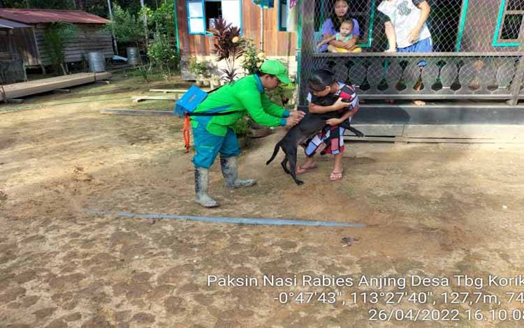 1.308 Hewan Telah Disuntik Vaksin Rabies di Gunung Mas