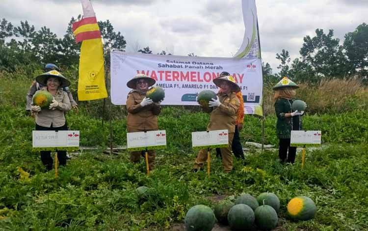 Pertanian Hortikultura di Kotim Berpotensi Meningkatkan Kesejahteraan Masyarakat