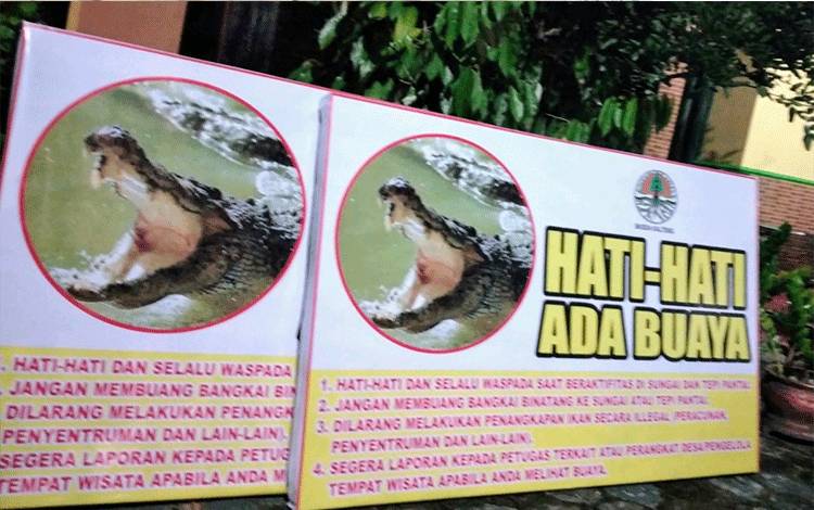 BKSDA Segera Pasang Papan Peringatan Keberadaan Buaya di Pantai Kalap