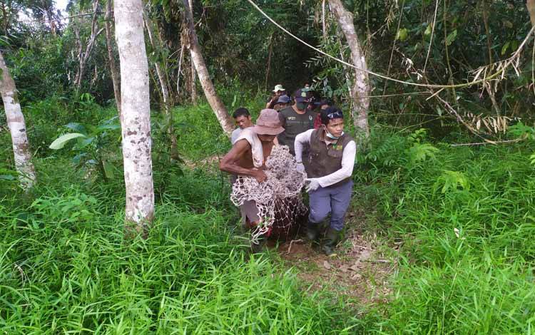 Rescue Orangutan di Desa Batuah Jadi Tontonan Warga