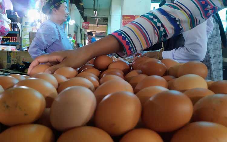 Harga Telur Ayam di Sampit Masih Mahal