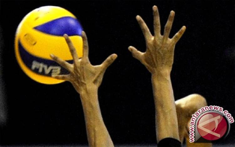 Tim Bola Voli Putra ke Semifinal Usai Sapu Bersih Tiga Laga Fase Grup