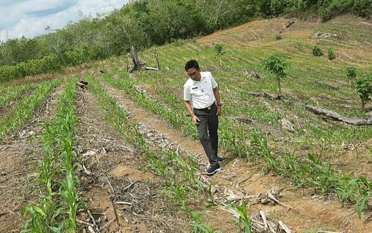 Pilkades Serentak di Barito Utara Digelar 19 Mei 2022