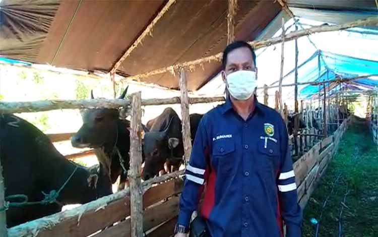 Dinas Ketahanan Pangan dan Pertanian Palangka Raya Cegah PMK Masuk