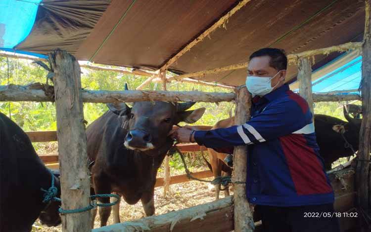Distankepang Minta Penyalur Hewan Kurban Terapkan Biosecurity Ketat Cegah PMK