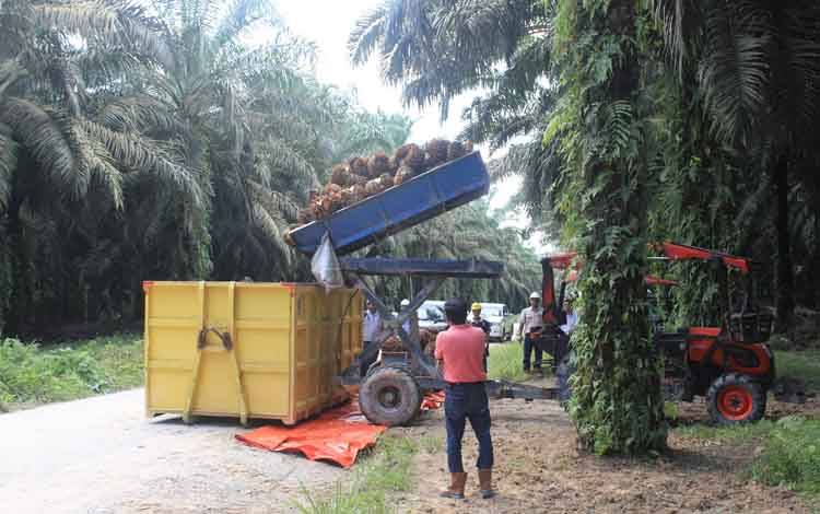 Ketua Komisi B DPRD Palangka Raya: Harus Ada Regulasi yang Jelas untuk Kebun Plasma