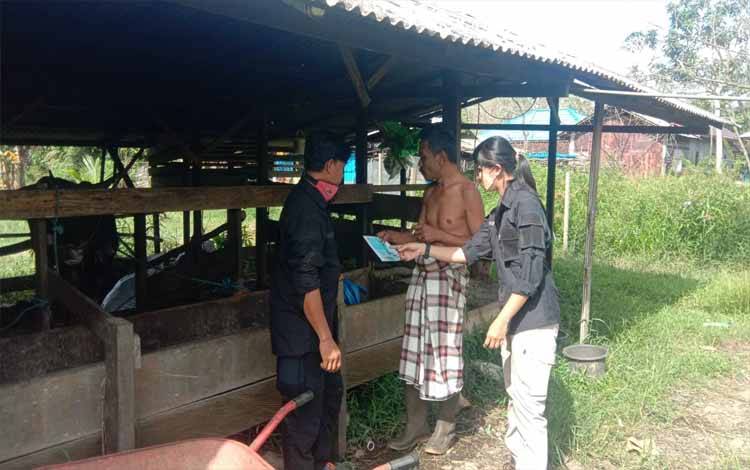Waspadai PMK Hewan Ternak, Ini Langkah Distan Kapuas