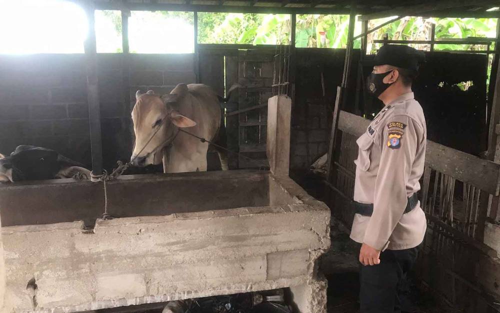 Personel Polres Seruyan Lakukan Pengecekan Kesehatan Hewan