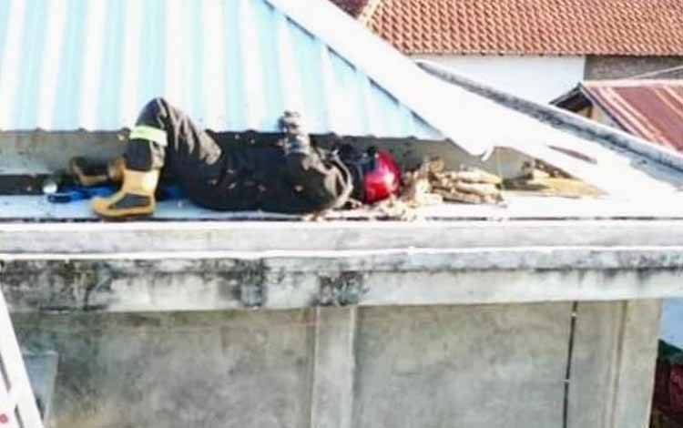 Tawon Mematikan Bersarang di Musala Kompleks Kamar XX Sampit