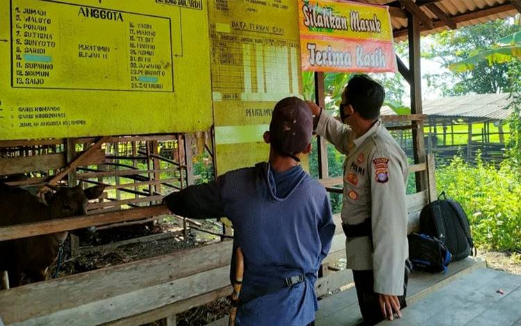 Polsek Mantangai Terus Berupaya Antisipasi Penyakit Kuku dan Mulut pada Ternak