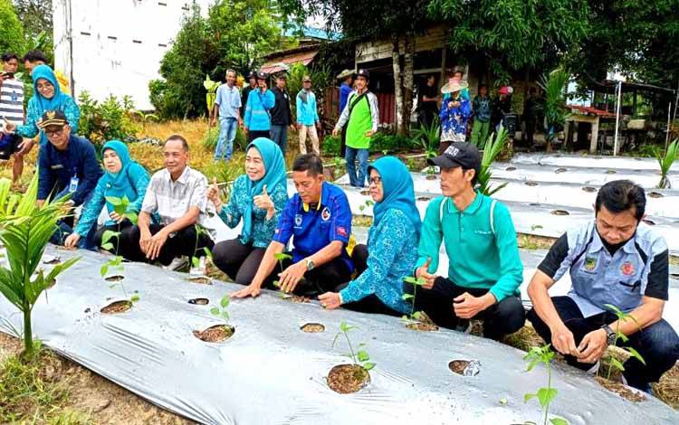 TP PKK Barito Utara Tanam Perdana Cabe Rawit di Desa Trinsing