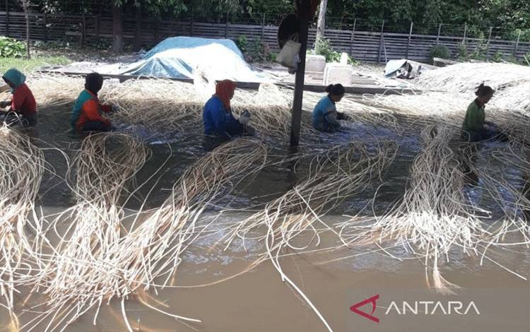 Legislator Kotim Minta Pemerintah Dukung Kebangkitan Usaha Rotan