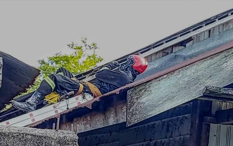 Tawon Vespa Berkeliaran, Warga Gang Rahman Baamang Resah