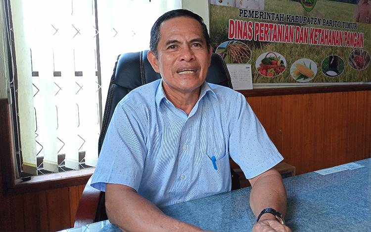 Belum Ada Laporan Gagal Panen Akibat Banjir di Barito Timur