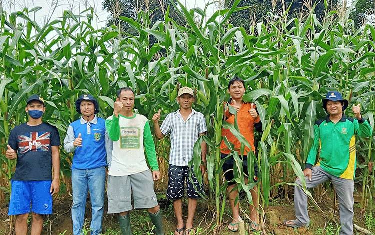 Dinas Pertanian Barito Timur Distribusikan Bantuan Benih Jagung