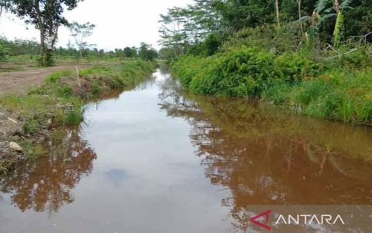 Dinas PUPR Pulang Pisau Usulkan Penataan Saluran Irigasi Food Estate