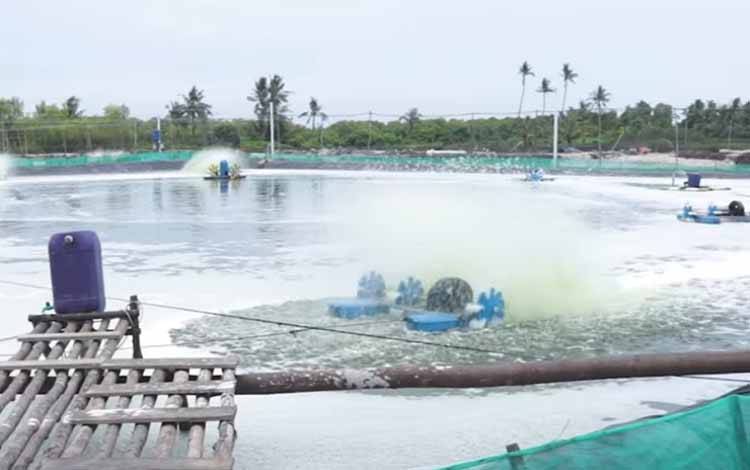 BLUD UPT-PBAPL Diharapkan Beri Kemudahan Tata Kelola Shrimp Estate