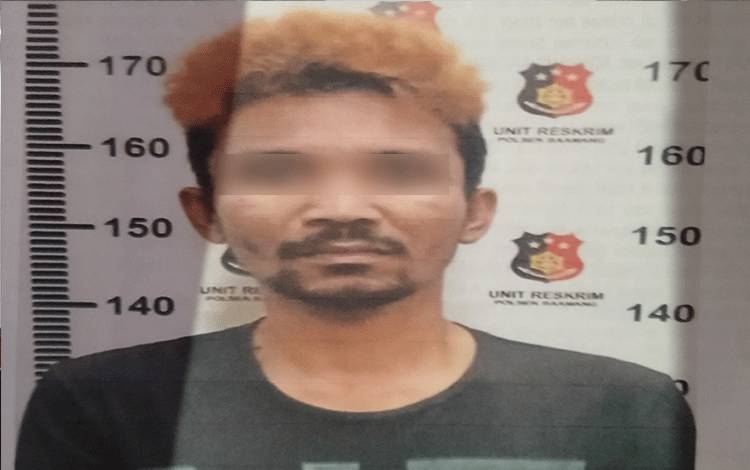 Dibawa ke Kebun Sawit, Motor Curian Dijual di Sana
