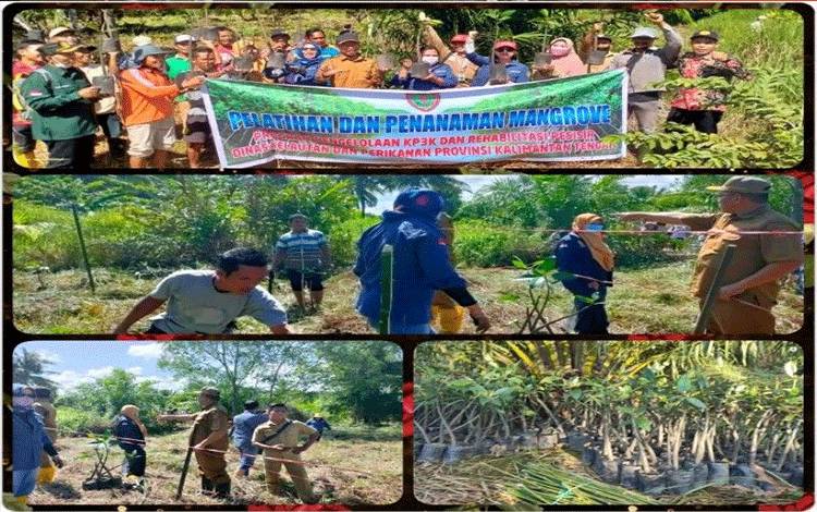 Kalteng Bangun Kesadaran Masyarakat Dalam Pemulihan Ekosistem Pesisir