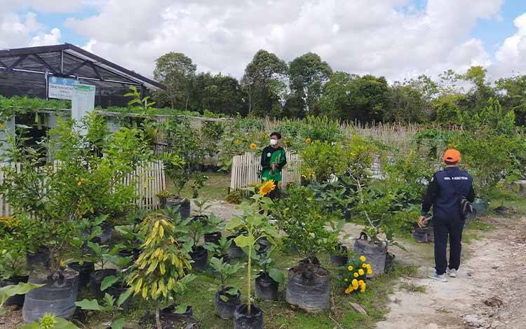 Bupati Kotim Perintahkan SOPD Manfaatkan Halaman Kantor untuk Tanaman Hortikulturb?