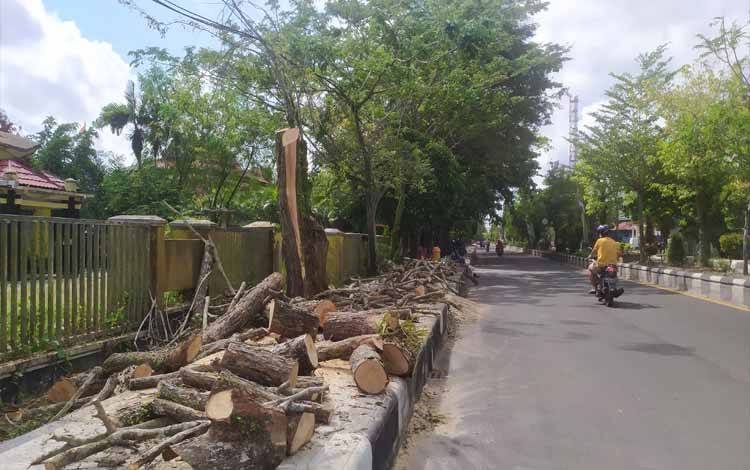 Sejumlah Pohon Rawan Tumbang di Jalan Protokol di Sampit Ditebang