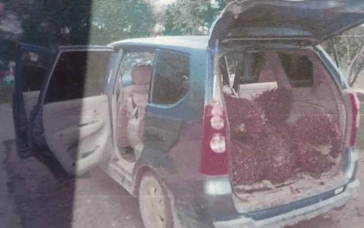 Belum Sempat Dijual, Pencuri Sawit Keburu Ditangkap Satpam