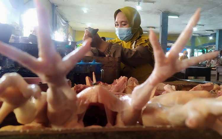 Harga Daging Ayam Potong di Sampit Turun Rp 1.000