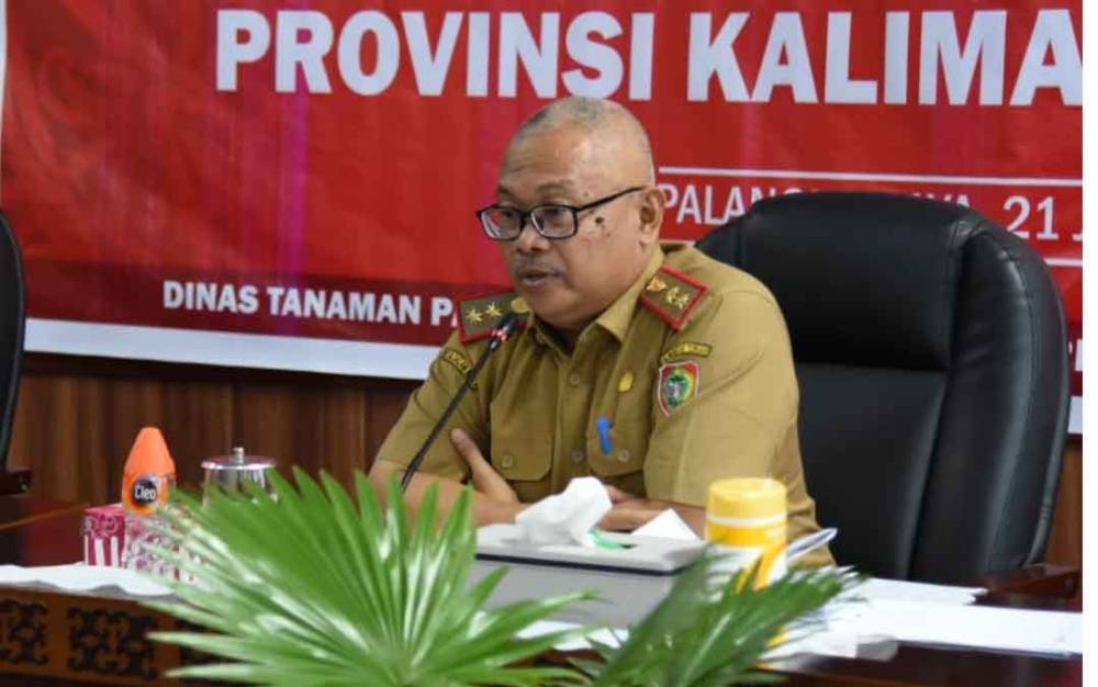 Dinas TPHP Kalteng Catat 19 Ekor Ternak Suspek PMK di Palangka Raya