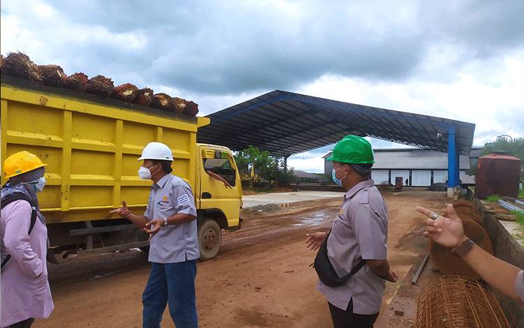 SSMS Jajaki Opsi Penjualan kepada Buyer Tingkatkan Kapasitas Penjualan