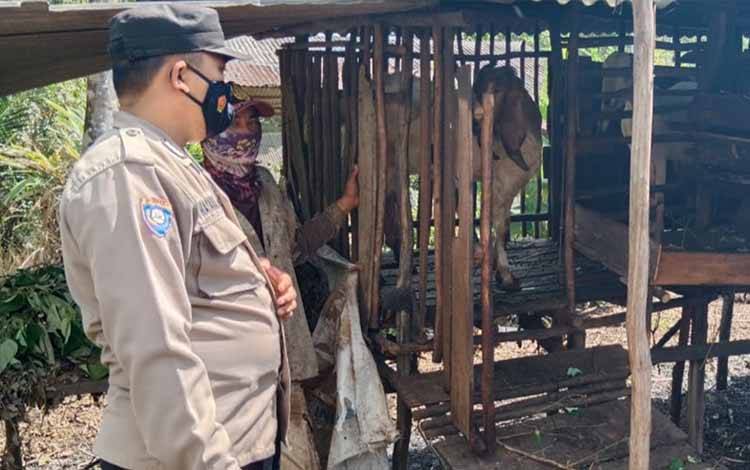 Personel Polsek Basarang Cek Ternak di Desa Panarung Antisipasi PMK