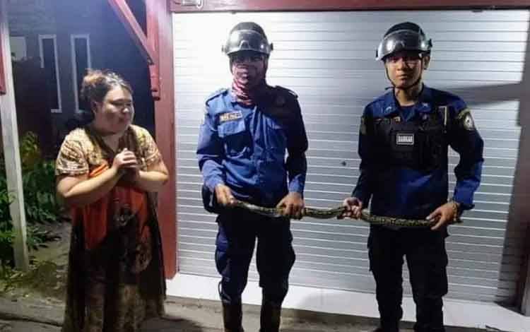 Emak-Emak di Baamang Hulu ini Kaget Melihat Ular di Atas Dapur