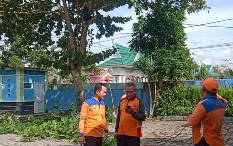 Waspada Cuaca Ekstrem, BPBD Bersama Instansi Terkait Pangkas Pohon Rawan Tumbang