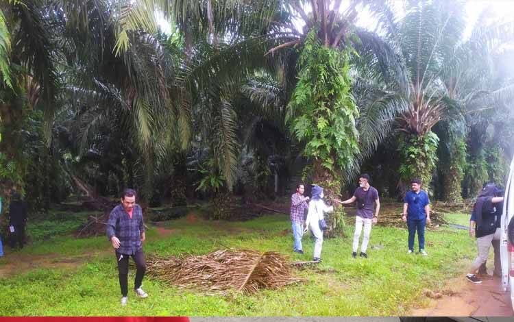 Ekspor CPO PT SSMS Tbk Sesuaikan Jumlah DMO
