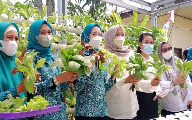 Ketua TP-PKK Palangka Raya Panen Pakcoy Hidroponik